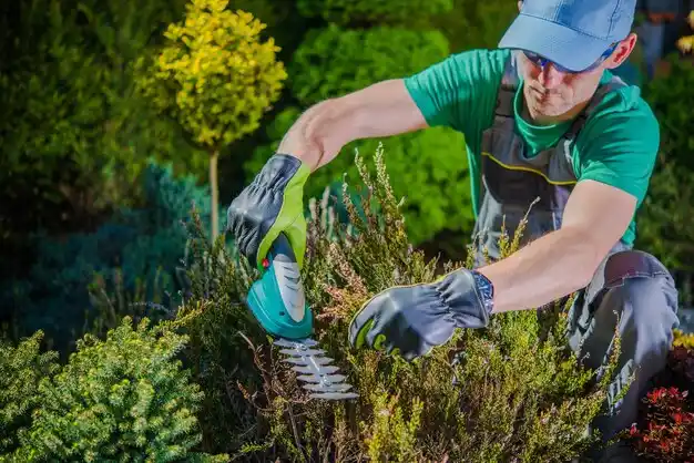 landscaping services Ottawa Hills